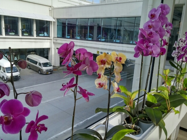20160504171921522.jpg
