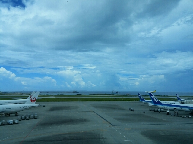 20160626115224183.jpg