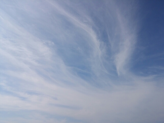 20160723182736434.jpg