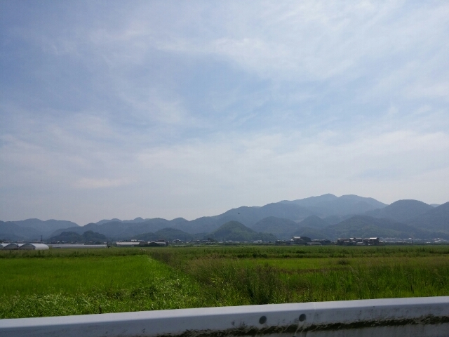20160723184957955.jpg