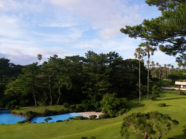 20160730071626209.jpg
