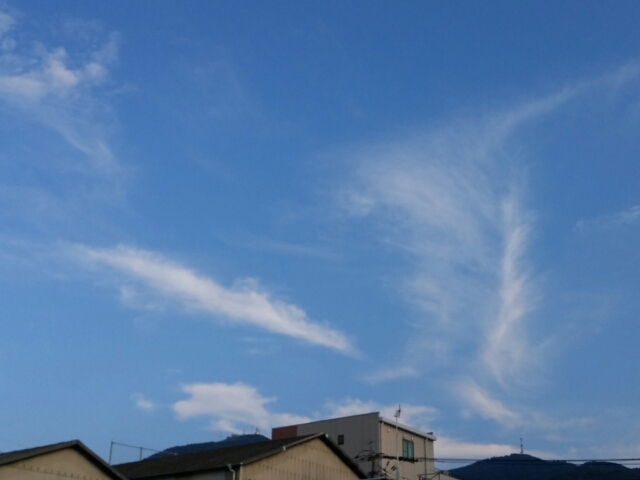 20160906172957612.jpg
