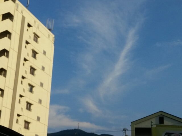 20160906173005438.jpg