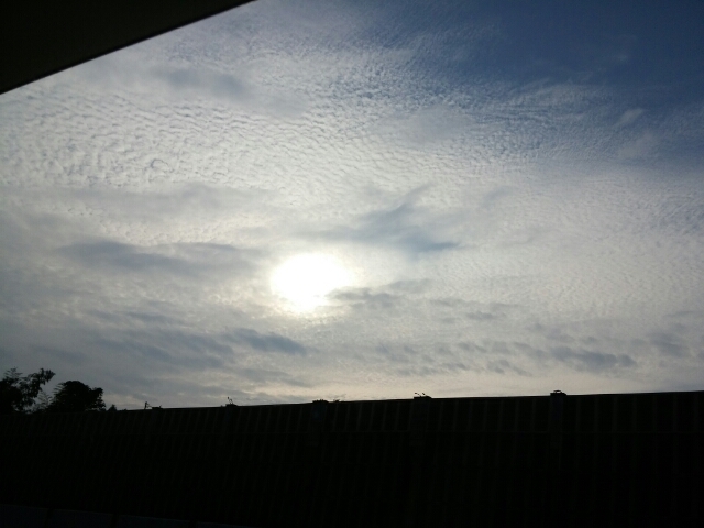 20160922075558348.jpg