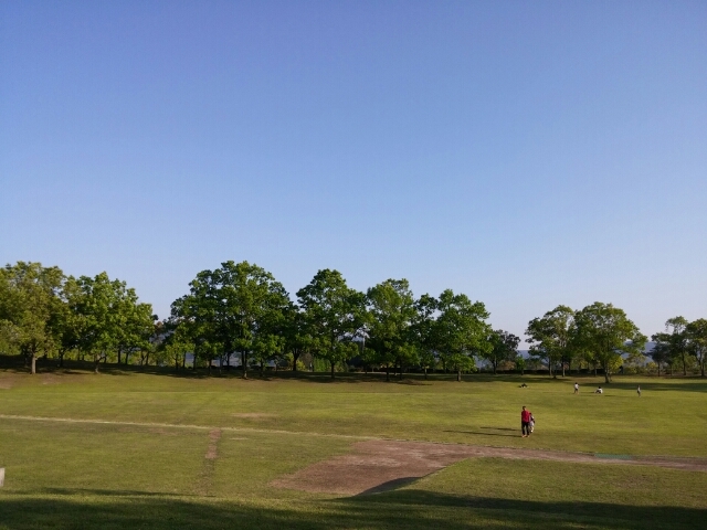 20170429173510462.jpg