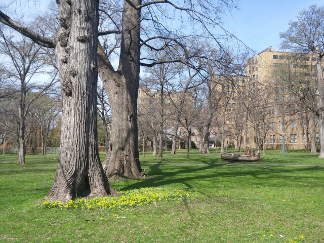 20170503100922020.jpg