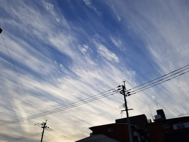 20180209174927785.jpg