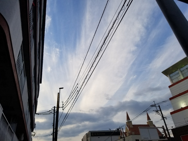 20180209174936673.jpg
