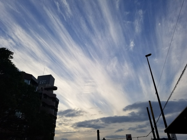20180209174949123.jpg