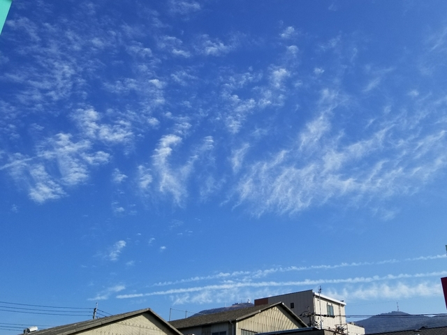 20180304160509637.jpg