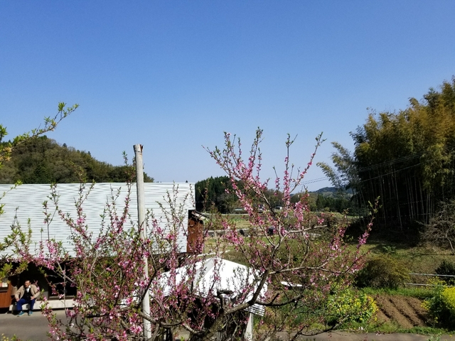 20180414171934274.jpg