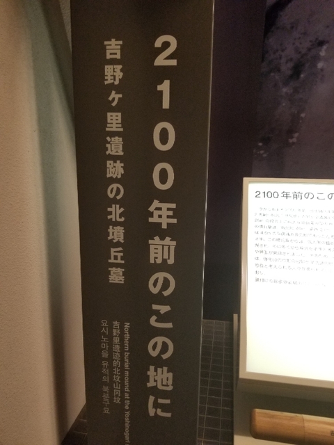 20180602132916124.jpg