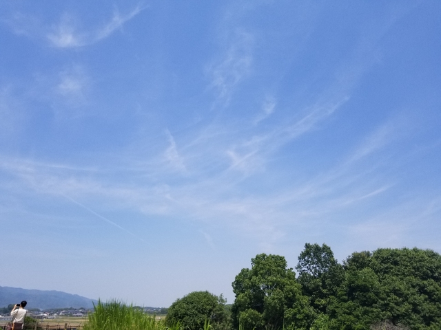 20180602132929531.jpg