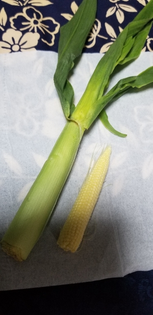 20180602223640714.jpg