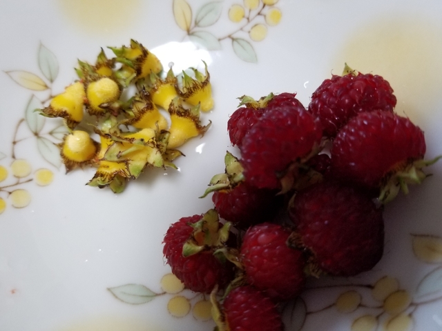 20180605115858978.jpg