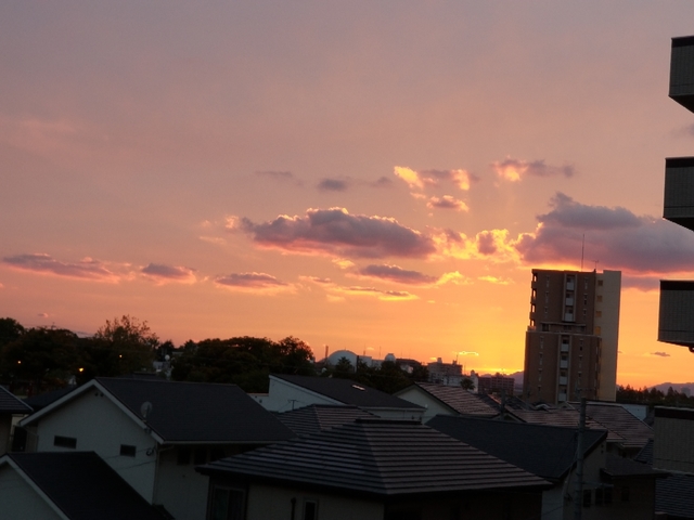 20181011200404776.jpg