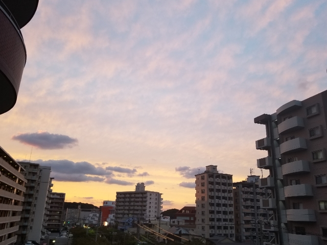 20181011200441939.jpg