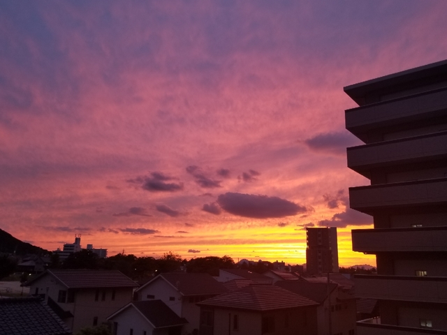 20181011200504774.jpg