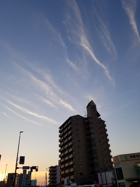 20181015192442287.jpg