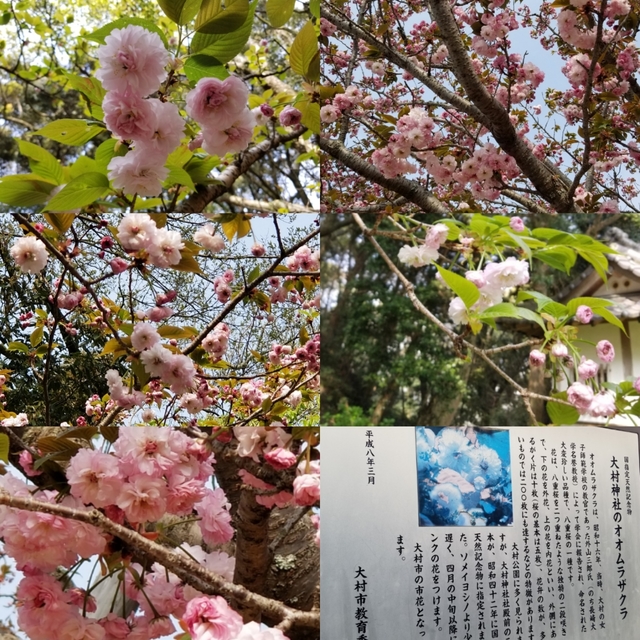 20190407215607202.jpg