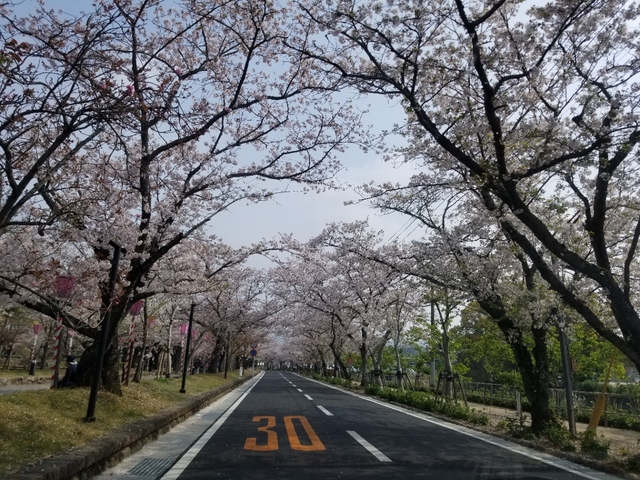 20190407215721436.jpg