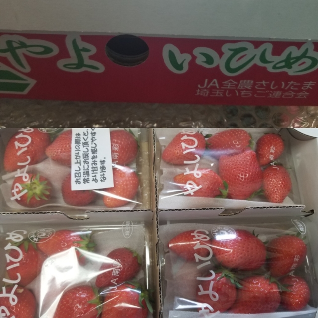 20190415233726189.jpg