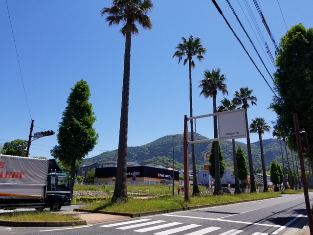 20190509104700660.jpg