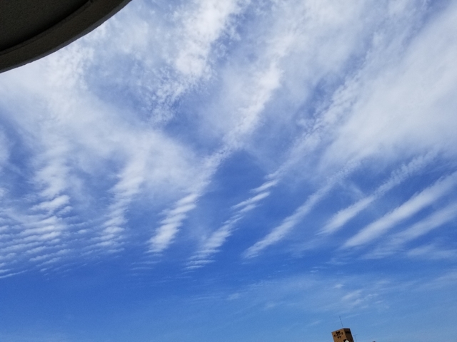20190510203217715.jpg