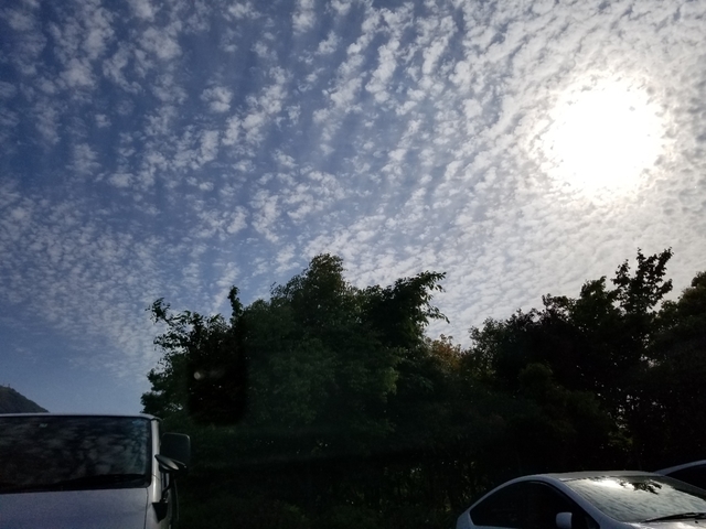 20190510203225188.jpg