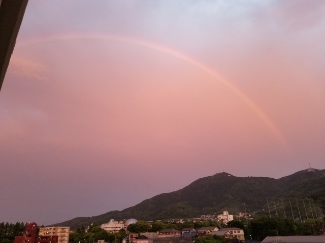 20190522201555045.jpg