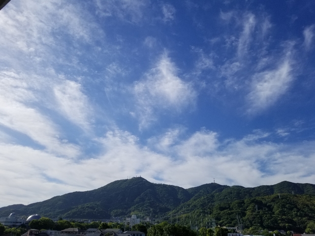 20190522201607933.jpg