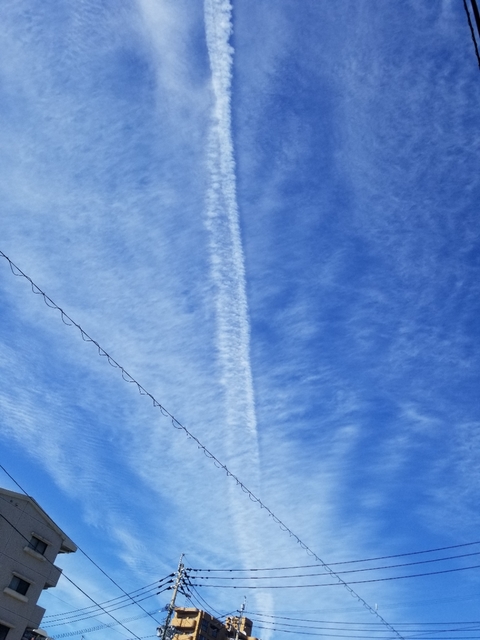 20190522201616596.jpg