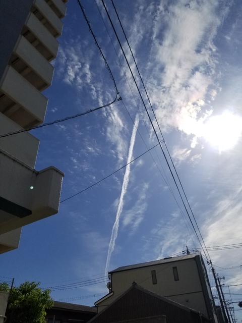 20190522201623916.jpg