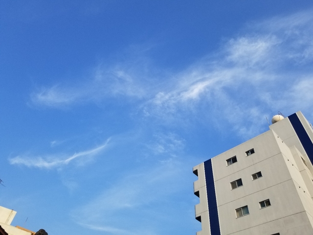 20190623221736352.jpg