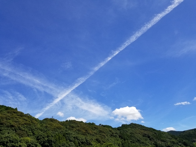 20190811224043246.jpg