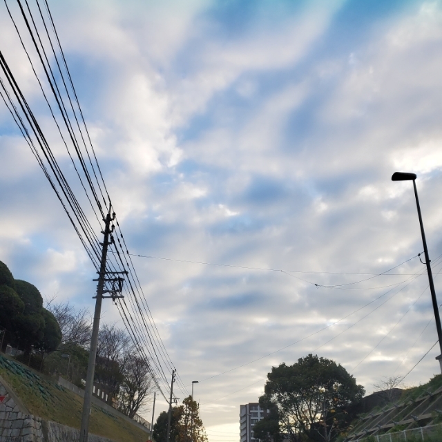 20191215223051189.jpg